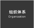 组织体系