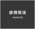 获得奖项