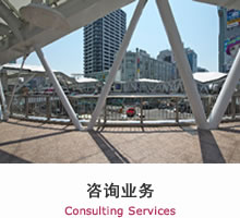咨询业务