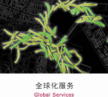 全球化服务