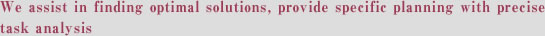We assist in finding optimal solutions, provide specific planning with precise task analysis