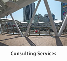 Consulting Services