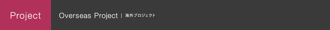 海外プロジェクト