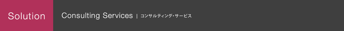 コンサルティングサービス